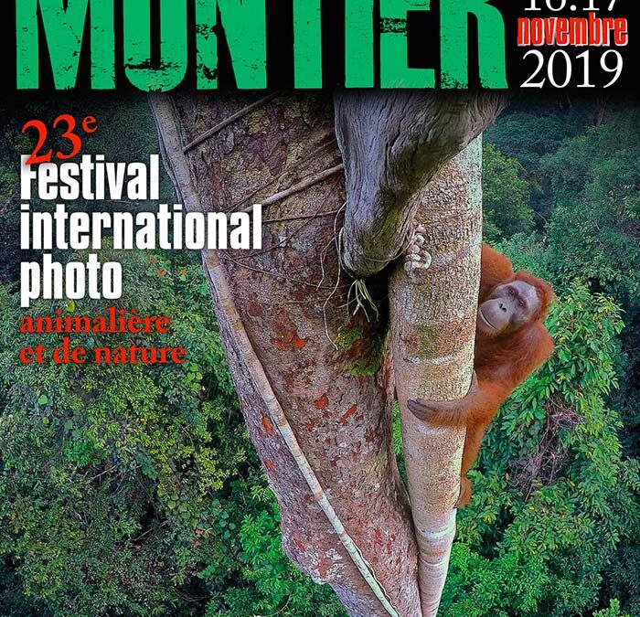 Partenaire du Festival de la photo animalière